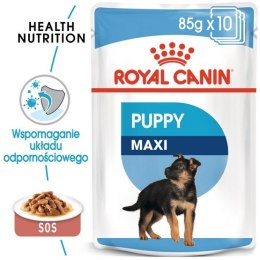 Royal Canin Maxi Puppy karma mokra w sosie dla szczeniąt, od 2 do 15 miesiąca życia, ras dużych saszetka 140g Royal Canin Size