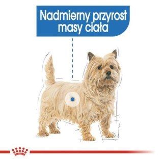 Royal Canin Light Weight Care karma mokra dla psów dorosłych, wszystkich ras z tendencją do nadwagi saszetka 85g Royal Canin Siz