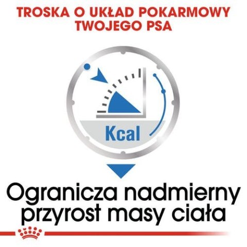 Royal Canin Light Weight Care karma mokra dla psów dorosłych, wszystkich ras z tendencją do nadwagi saszetka 85g Royal Canin Siz