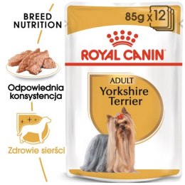 Royal Canin Yorkshire Terrier Adult karma mokra - pasztet, dla psów dorosłych rasy yorkshire terrier saszetka 85g Royal Canin Breed