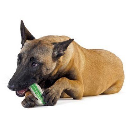 Petstages CrunchCore petite PS263 Petstages CrunchCore petite PS263