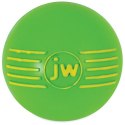 JW Pet iSqueak Ball Medium [32124D]