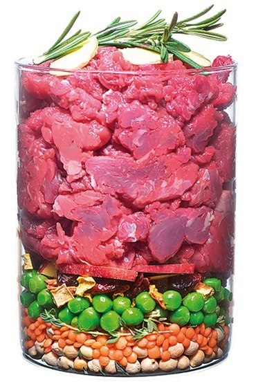 Carnilove Dog True Fresh Beef Adult - wołowina 4kg