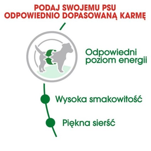 Royal Canin Mini Adult karma sucha dla psów dorosłych, ras małych 2kg Royal Canin Mini Adult karma sucha dla psów dorosłych, ras małych 2kg