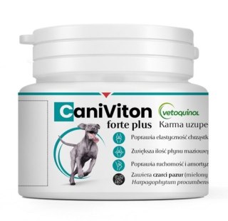 Caniviton Forte Plus 30 tabletek Vetoquinol