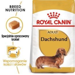 Royal Canin Dachshund Adult karma sucha dla psów dorosłych rasy jamnik 1,5kg Royal Canin Breed