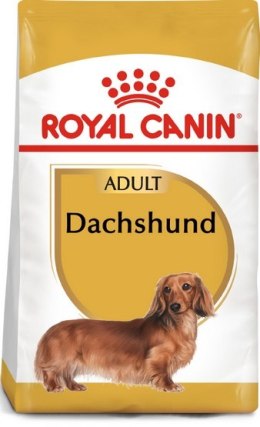 Royal Canin Dachshund Adult karma sucha dla psów dorosłych rasy jamnik 1,5kg Royal Canin Breed