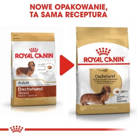 Royal Canin Dachshund Adult karma sucha dla psów dorosłych rasy jamnik 1,5kg Royal Canin Breed