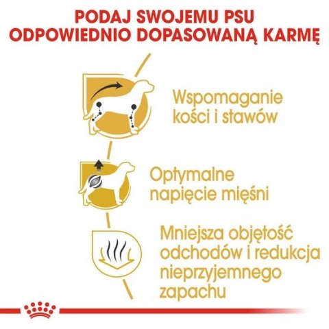 Royal Canin Dachshund Adult karma sucha dla psów dorosłych rasy jamnik 1,5kg Royal Canin Breed