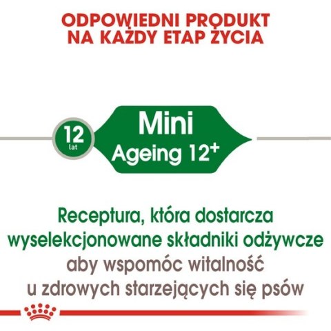 Royal Canin Mini Ageing 12+ karma sucha dla psów dojrzałych po 12 roku życia, ras małych 800g