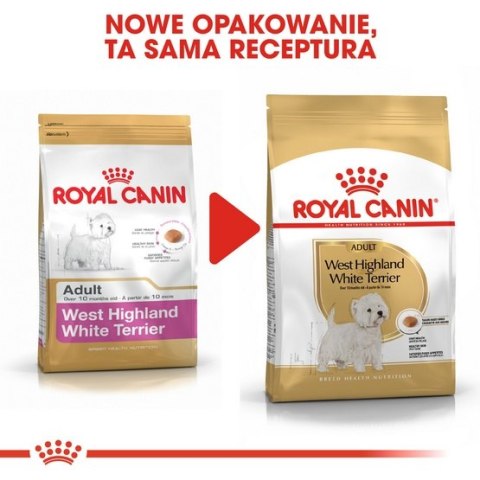 Royal Canin West Highland White Terrier Adult karma sucha dla psów dorosłych rasy west highland white terrier 0,5kg