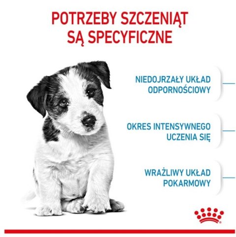 Royal Canin Mini Puppy karma sucha dla szczeniąt, od 2 do 10 miesiąca życia, ras małych 800g