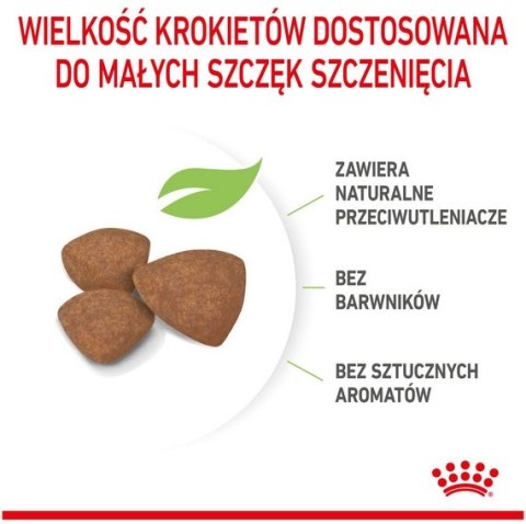 Royal Canin Mini Puppy karma sucha dla szczeniąt, od 2 do 10 miesiąca życia, ras małych 800g