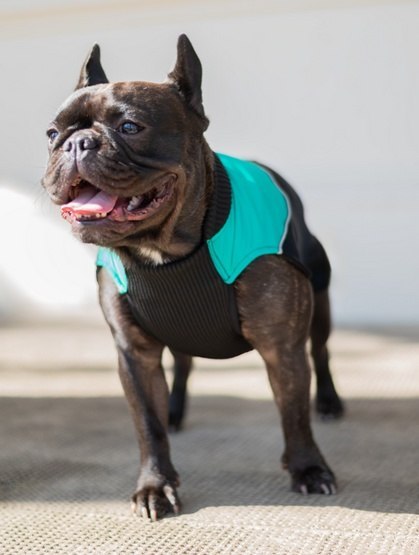 Chaba Ubranko regulowane Wear Magnifique M zielone