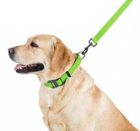 Collar Waterproof Smycz wodoodporna L-XXL 25mm/183cm jasnozielona Collar Waterproof Smycz wodoodporna L-XXL 25mm/183cm jasnozielona