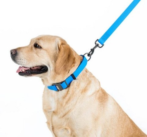 Collar Waterproof Smycz wodoodporna L-XXL 25mm/183cm niebieska Collar Waterproof Smycz wodoodporna L-XXL 25mm/183cm niebieska