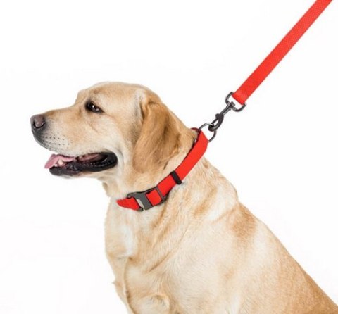 Collar Waterproof Smycz wodoodporna M 20mm/183cm czerwona Collar Waterproof Smycz wodoodporna M 20mm/183cm czerwona