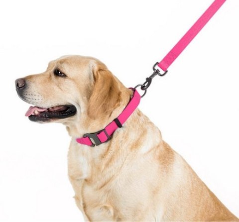 Collar Waterproof Smycz wodoodporna S 15mm/183cm różowa Collar Waterproof Smycz wodoodporna S 15mm/183cm różowa