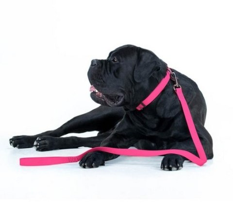 Collar Waterproof Smycz wodoodporna S 15mm/183cm różowa Collar Waterproof Smycz wodoodporna S 15mm/183cm różowa