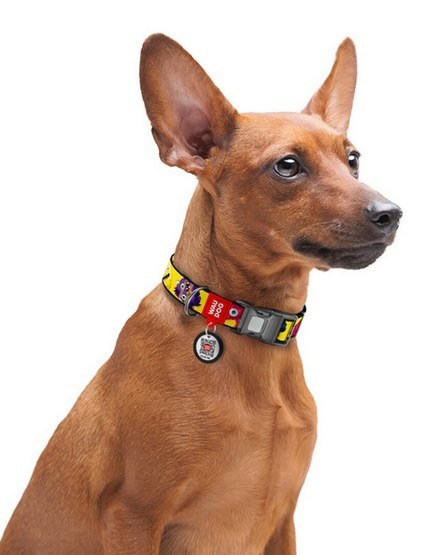 Collar WauDog Nylon Obroża nylonowa z QR-paszportem, plastikowy fastex, wzór FUTRZANE POTWORY, XXL 35mm/46-70cm Collar WauDog Nylon Obroża nylonowa z QR-paszportem, plastikowy fastex, wzór FUTRZANE POTWORY, XXL 35mm/46-70cm