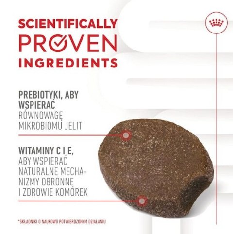 Royal Canin Immunity & Digestion Chews Puppy Supplements 100g Royal Canin Immunity & Digestion Chews Puppy Supplements 100g