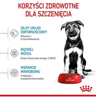 Royal Canin Maxi Puppy karma sucha dla szczeniąt, od 2 do 15 miesiąca życia, ras dużych 3kg