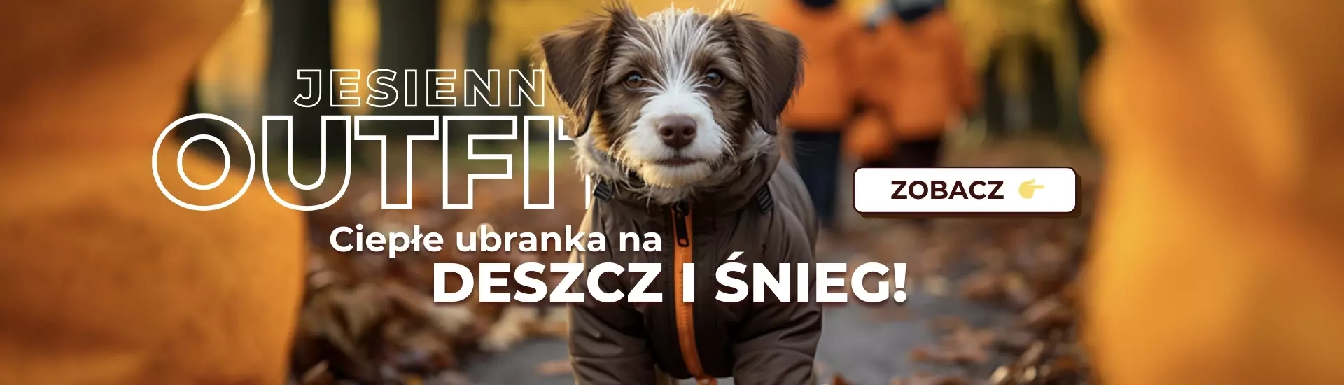 Ubranka dla psa na zimę